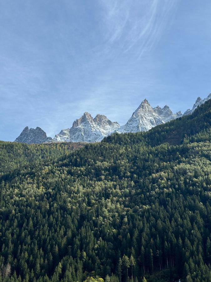 Cocon Au Coeur De Chamonix Avec Parking Gratuit Apartment Luaran gambar